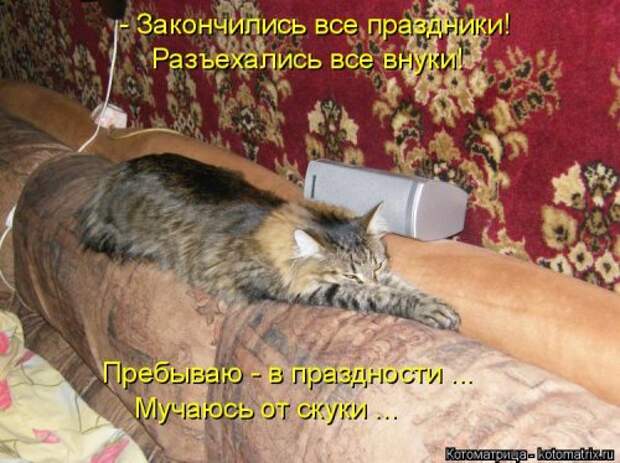 Свежая котоматрица (21 фото)