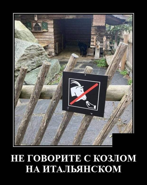 Демотиваторы 14 октября 2021 года