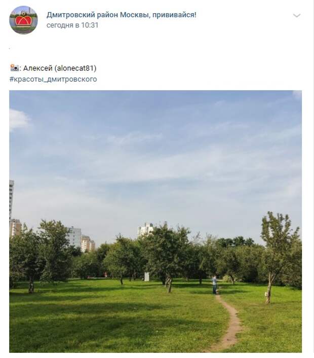 Фото дня: закрылся «сезон загара» яблоневом саду на Ангарских