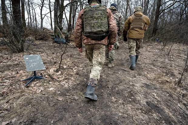 Стало известно о возможном обходе Россией ограничений на применение Starlink