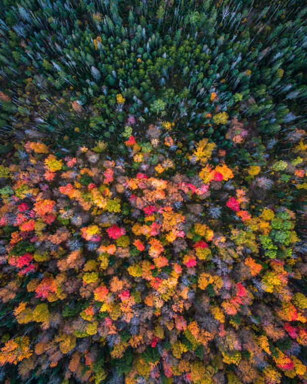 New Hampshire