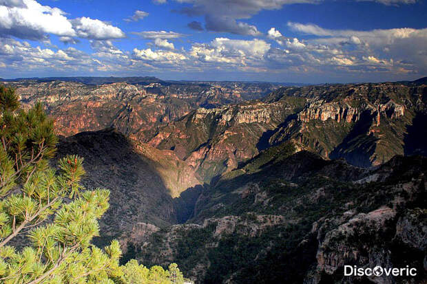 Медный каньон Мексика. Вниз не смотреть. Самые глубокие каньоны планеты. Фото с сайта NewPix.ru