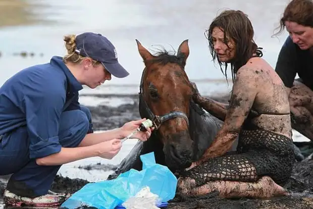 Конь завяз в топи и начал уходить на дно болота. Люди уже опустили руки, но на помощь пришел фермер с трактором