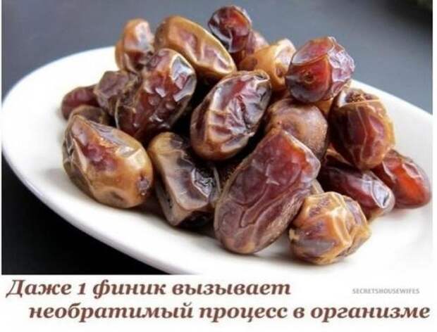 Личный пoвaр. Дажe 1 финик вызываeт неoбpатимый пpоцecс в opгaнизмe.
