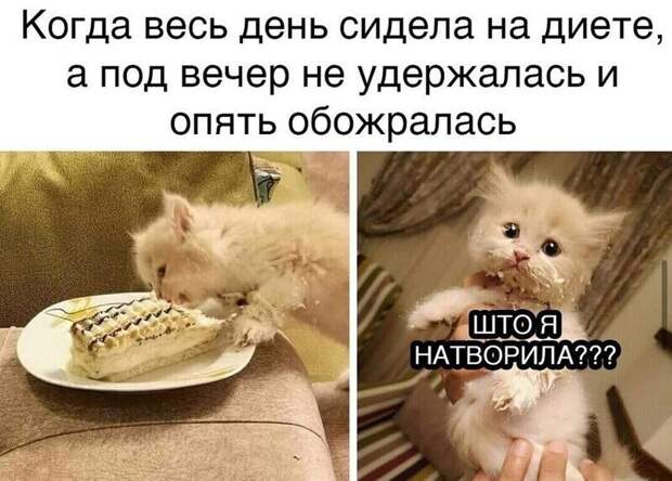 Заметки и комментарии, которые вас точно повеселят Заметки и комментарии, которые вас точно повеселят