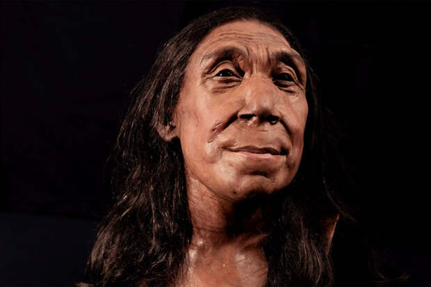 UC: согласно реконструкции, неандертальцы и люди были похожи друг на друга