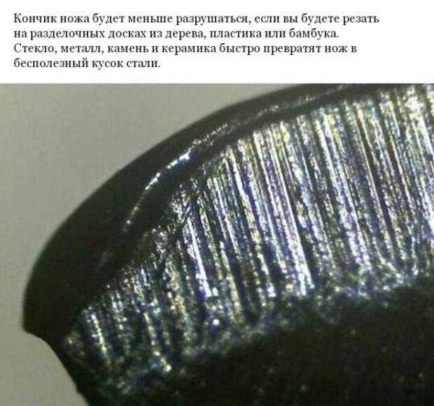 Фото различных предметов под микроскопом