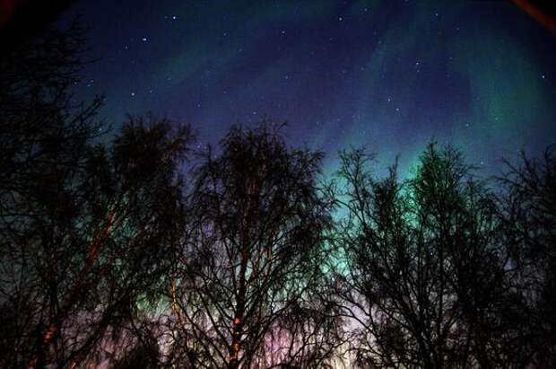 Зеленое северное сияние засняли в небе над Ленобластью