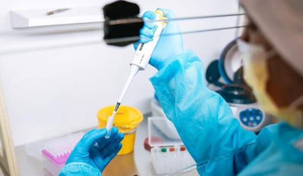 Новое направление открыли в столичном Комитете ветеринарии