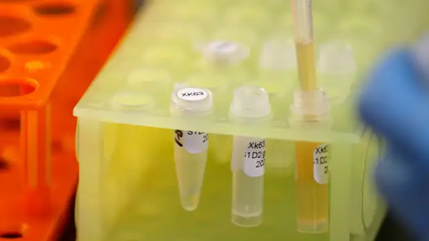 В Ставропольском крае проведено более 577 тысяч тестов на COVID-19