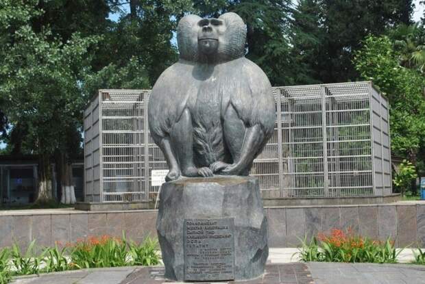 Памятник бабуину.