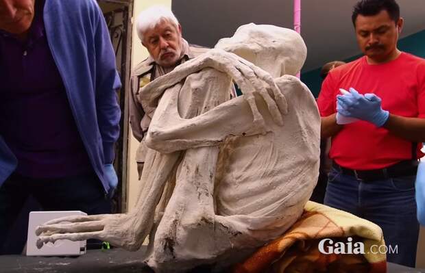 Мумифицированный труп пришельца найден в Перу