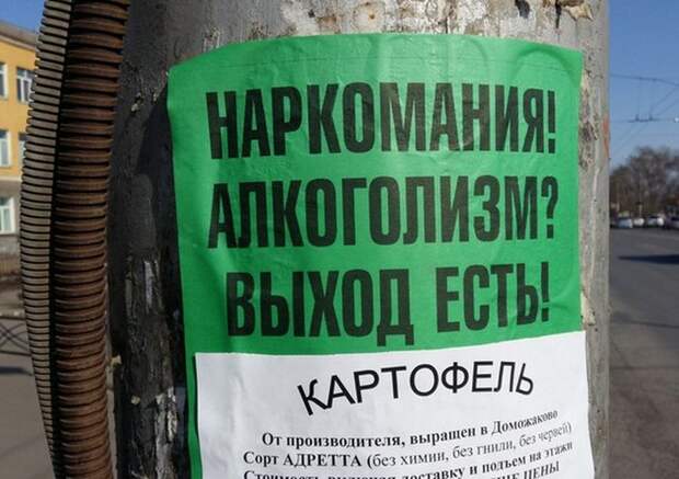 Свежие и веселые картинки с надписями со смыслом (11 фото) Свежие и веселые картинки с надписями со смыслом (11 фото)