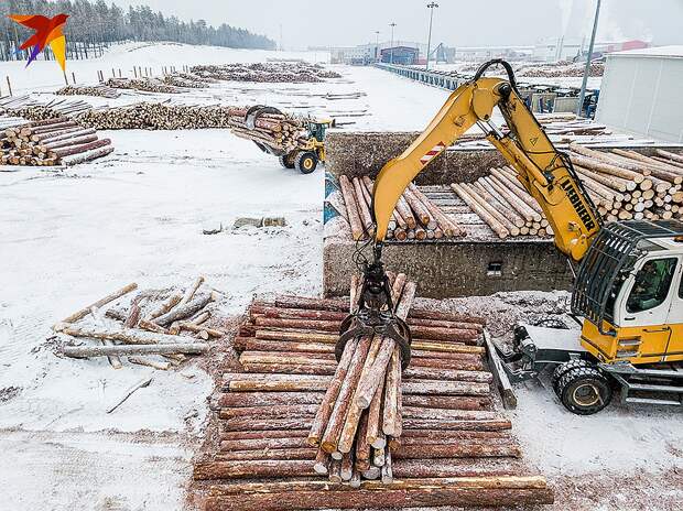 Отчет о хищениях леса в Красноярском крае породил грандиозный скандал Фото: Виктор ГУСЕЙНОВ