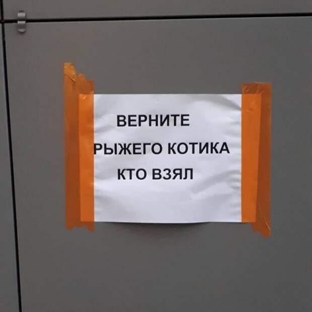 www.vsyako.net