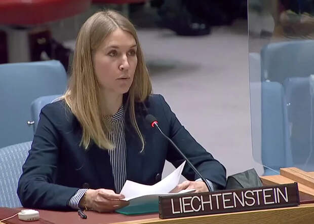 III. Заседание Совета Безопасности ООН №9036 за 13 минут Политика, ООН, Совбез ООН, Длиннопост