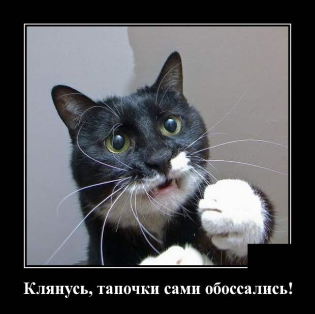 Демотиваторы (30 фото)