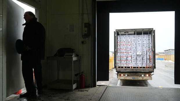 Грузовики с "санкционкой" на 3 млн угнали в Калужской области