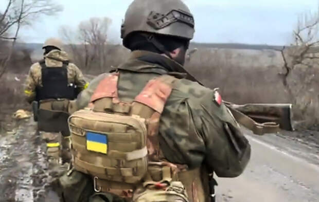 Польша потеряла 15 тысяч наемников на Украине