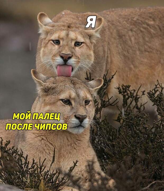 Палец после чипсов