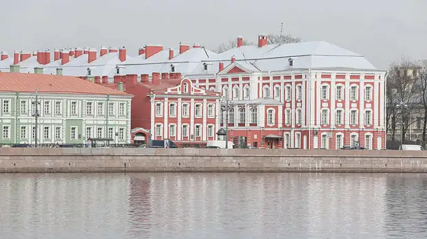 Руководство СПбГУ запретило изданию «Студень» упоминать название вуза из-за публикации фейков