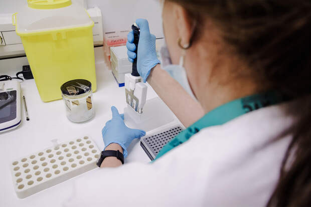 Врач Компанец: вирус оспы обезьян может вызывать тяжелую пневмонию и энцефалит