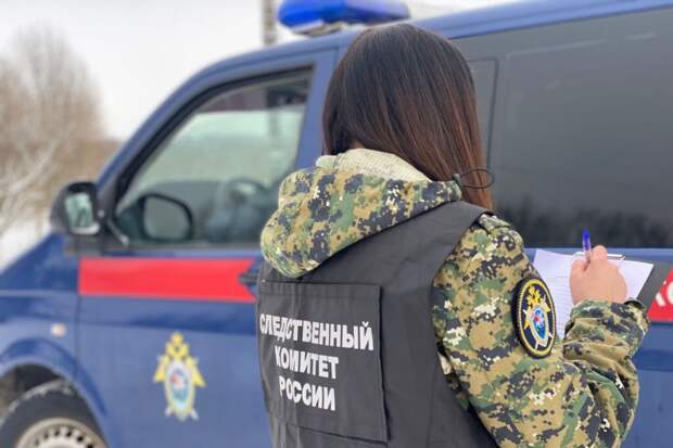 СК возбудил дело против блогера Щепихина