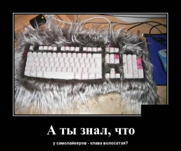 Демотиваторы (30 фото)