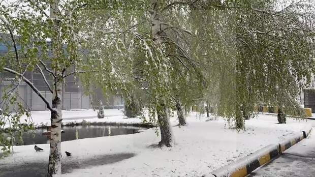 Мощный снегопад накрыл Москву и область