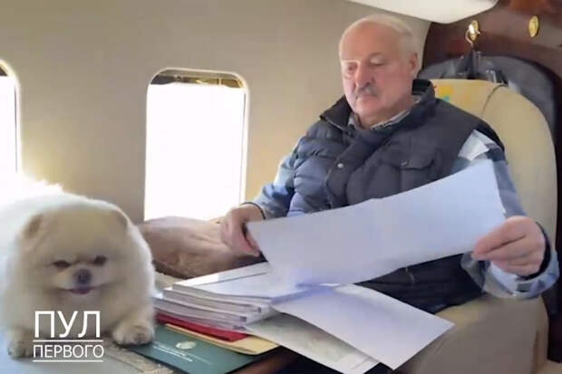 Лукашенко и Умка с борта вертолета осмотрели ход посевной кампании в Белоруссии