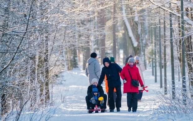 Циклон WALLY V принесёт в Петербург до 10 см снега