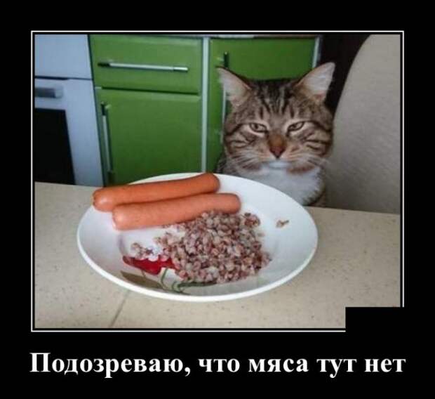 Демотиваторы (30 фото)