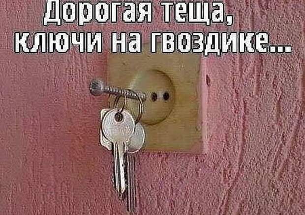 Прекрасные шутки в нашей подборке