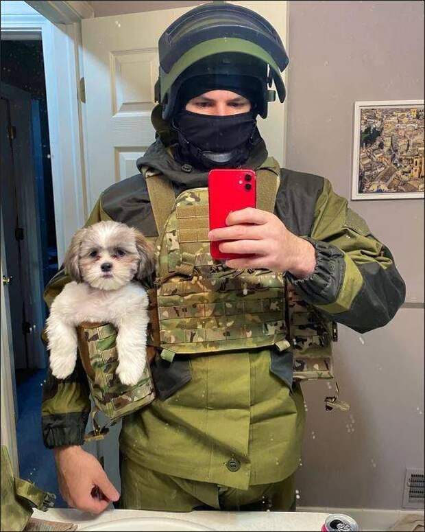 Подборка прикольных картинок