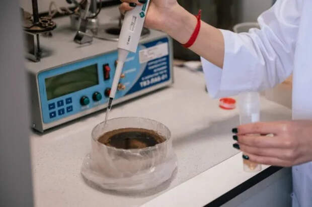 Пластификатор для ПВХ из отходов масложировой и целлюлозно-бумажной промышленности создали ученые Губкинского университета