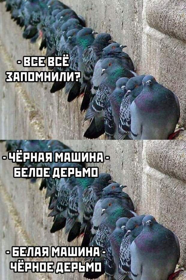 www.vsyako.net