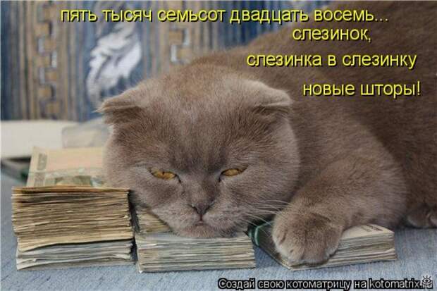 Приколы в котоматрице 26