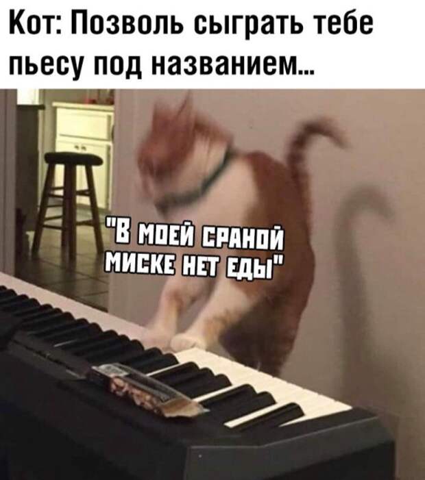 www.vsyako.net