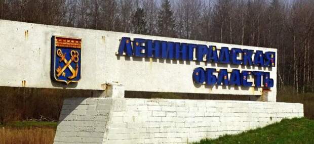 Жители Ленобласти пожаловались на кучи мусора на трассе «Керро – Грузино