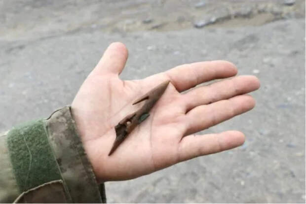 Источник фото: Андрей Никифоров, ЯСИА