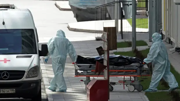 Голикова рассказала о показателях смертности от COVID-19 в России в августе