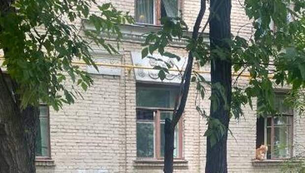 На улице Маршала Бирюзова провели санитарную обрезку деревьев