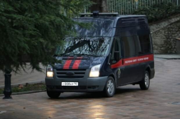 Глава ведомства поручил доложить о ходе расследования уголовного дела по факту нападения бездомных собак в Волгограде