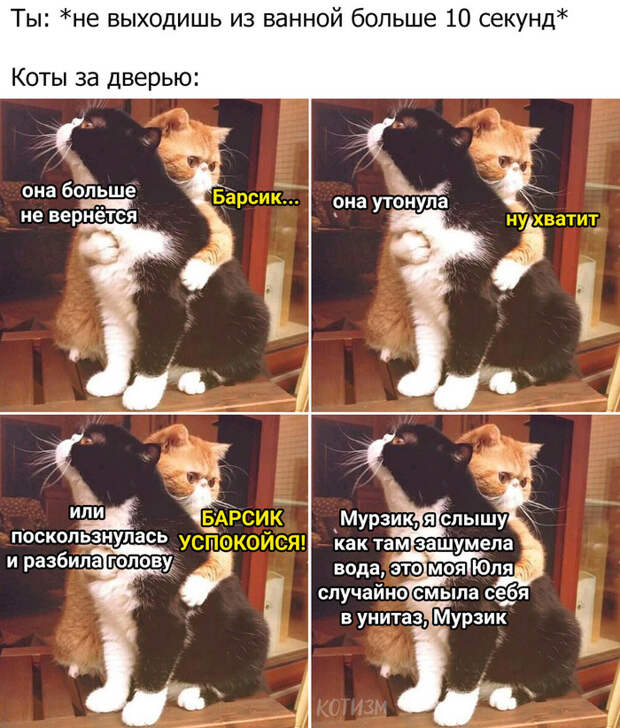 Поберегите котьи нервы. Не закрывайте дверь в ванную