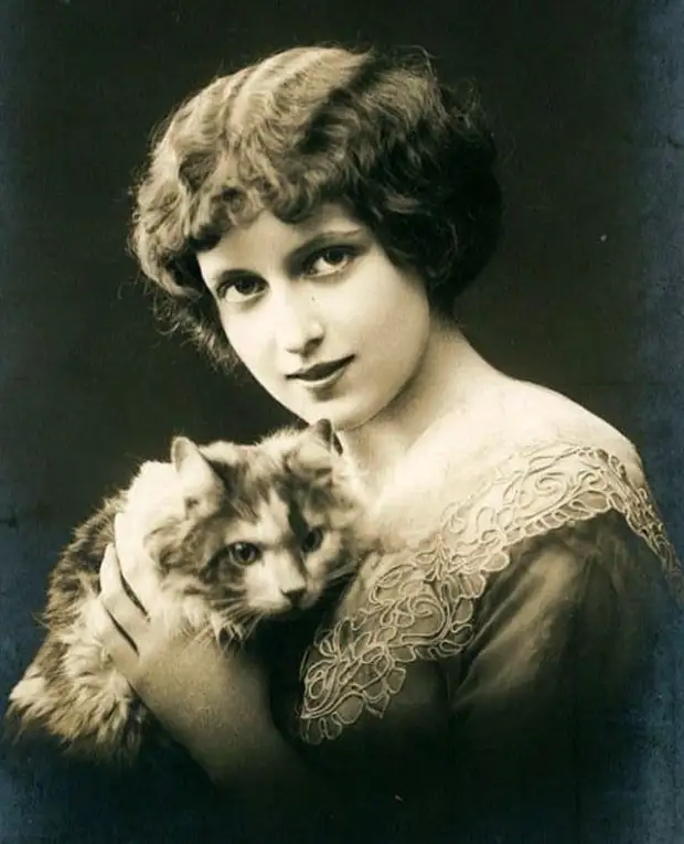 :   ,  ,        31 - BigPicture.ru