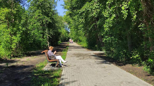 В Барнауле ради возрождения бывшего парка имени Ленина перенесут забор зоопарка