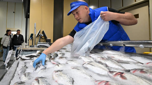 Под видом свежей: как обманывают покупателей рыбы в магазинах