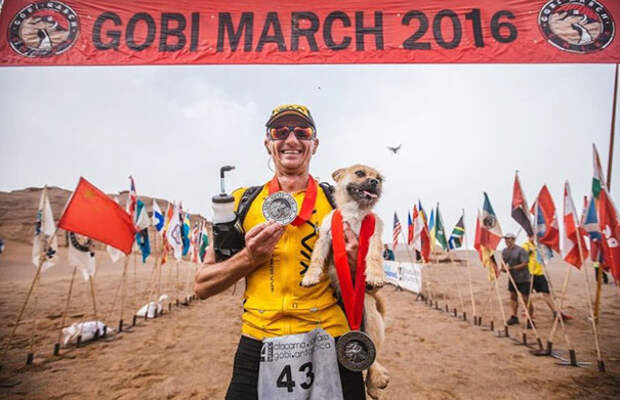 stray-dog-joins-race-gobi-dion-leonard-china-9