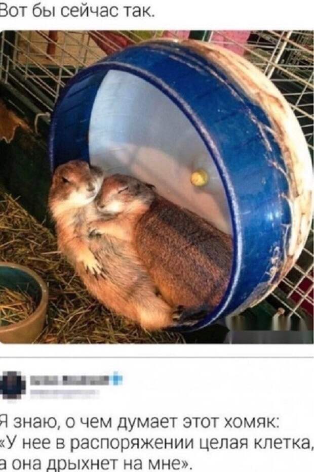 Отношения)