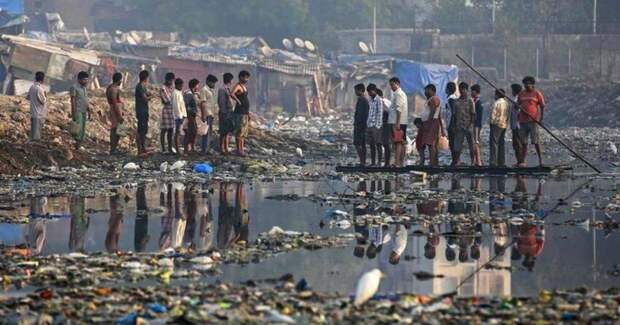 Мумбайский психоз 2006 года: люди пили морскую воду